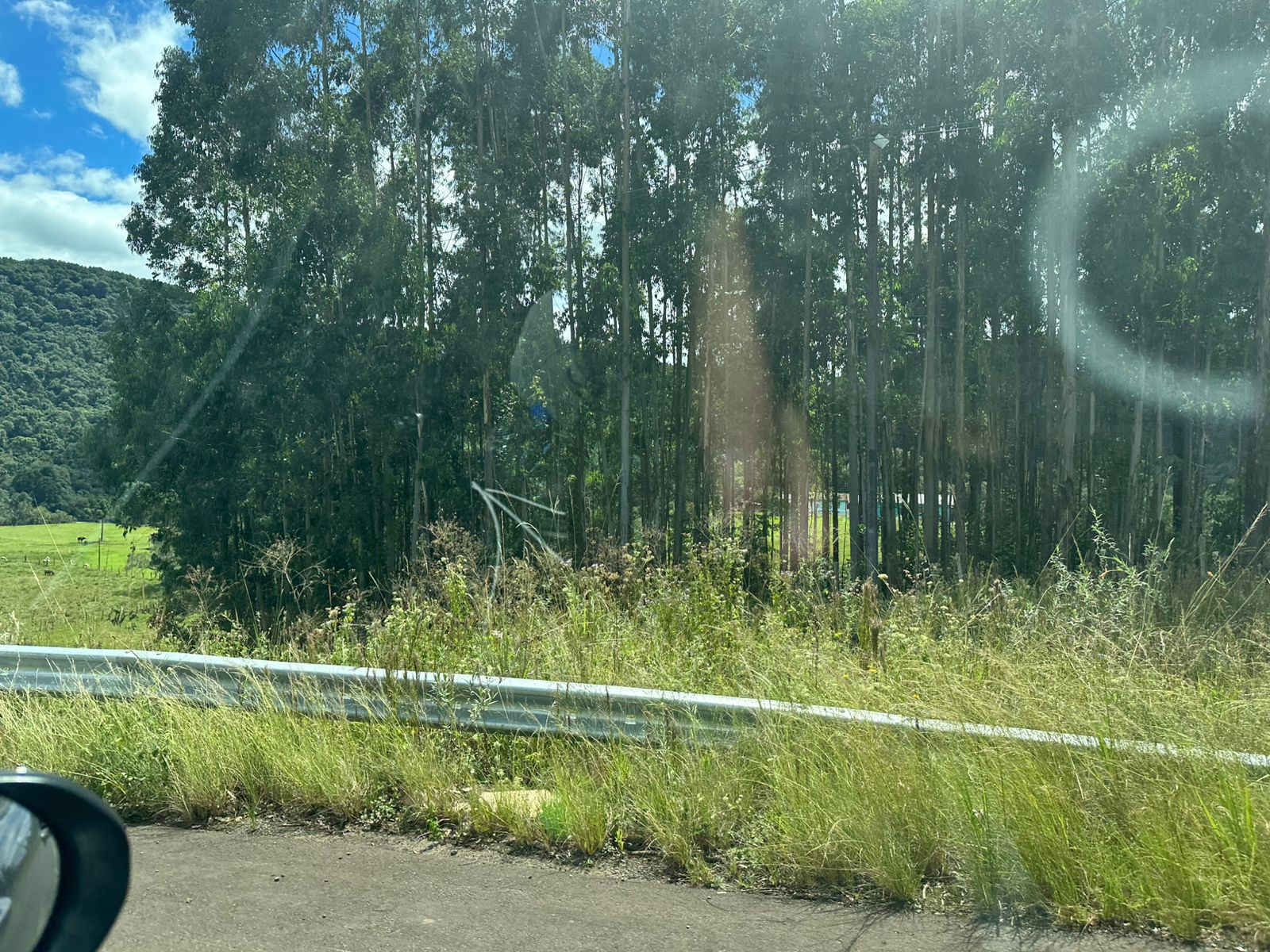 uploads/produtos/WhatsApp Image 2025-06-02 at 15.55.33.jpeg